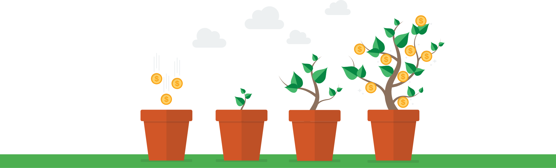 Plant Pot